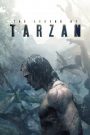 Ver La leyenda de Tarzán / The Legend of Tarzan (2016) online