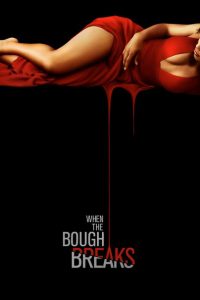 Ver Película When the Bough Breaks (2016) online