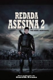 Ver Redada asesina 2 / The Raid 2: Berandal (2014) Online