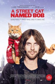 Ver Un gato callejero llamado Bob (2016) online