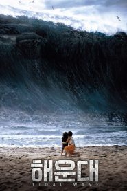 Ver Película Tsunami / Haeundae (2009) online