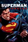 Ver Superman: Sin límites (2013) online
