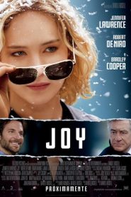 Joy (2015) Online