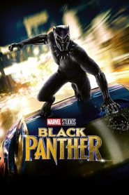 Black Panther (Pantera Negra)