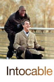 Amigos Intocables / Intocable (The Intouchables)