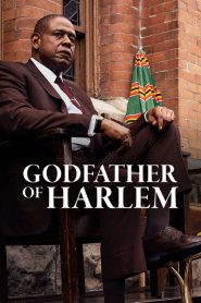 El padrino de Harlem (Godfather of Harlem)
