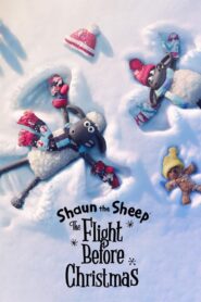 Shaun, el cordero: El vuelo antes de Navidad