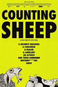 Contando Ovejas (Counting Sheep)