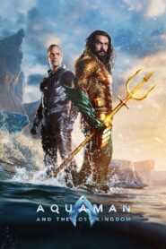Aquaman y El Reino Perdido (Aquaman 2)