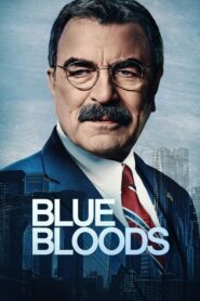 Blue Bloods: Temporada 14